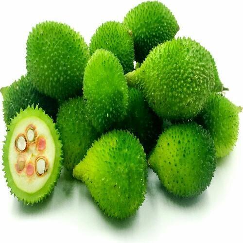 Spine Gourd(Kankada-Desi)-250gms